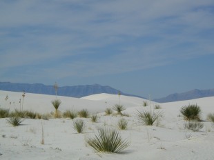 White Sand and Blue Sky